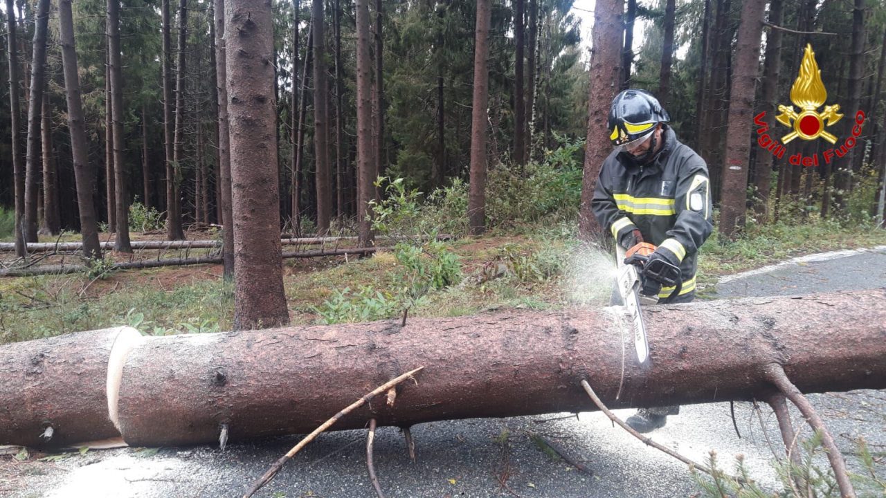 Vigili del Fuoco Varese