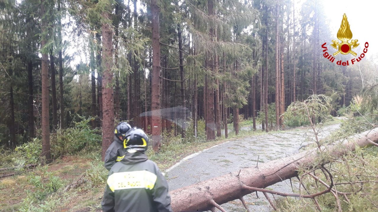 Vigili del Fuoco Varese