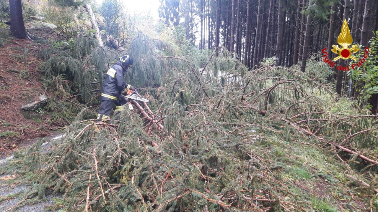 Vigili del Fuoco Varese