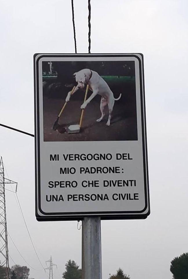 Sui cartelli cani esemplari di padroni incivili