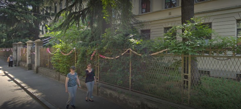 Possibili disagi viabilistici per l’abbattimento di un albero storico nel cortile della scuola
