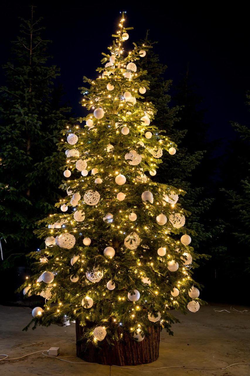 Alberi di Natale, Legnano ne adotta tre