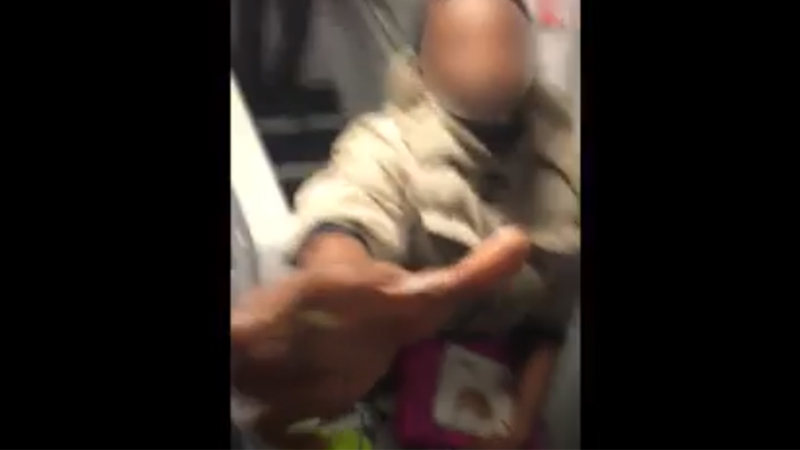 Filma un passeggero senza biglietto e viene aggredita