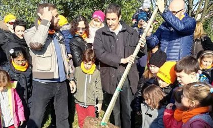 Bosco urbano, i bimbi piantano nuovi alberi