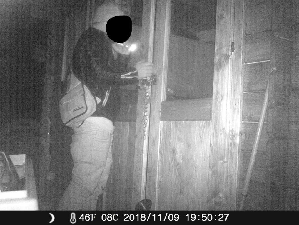 Ladri in azione negli orti di Vighignolo