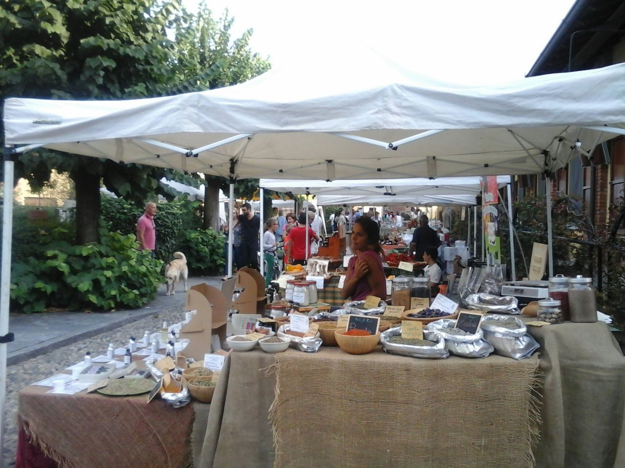 Mercatino Enogastronomico della Certosa a Morimondo
