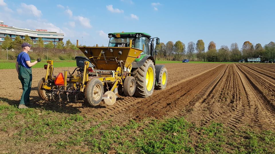 Campo di Tulipani di Edwin quest’anno arriva ad Arese