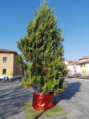 Cade l’albero di Natale a San Giorgio su Legnano