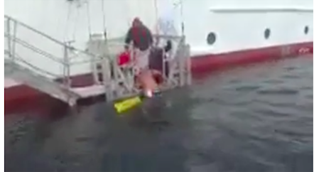Un chilometro nell’acqua dell’Antartide a -1,2 gradi: “Noi, i primi al mondo” VIDEO DA BRIVIDI