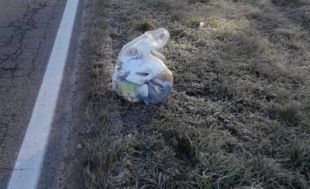 Rifiuti abbandonati, a Bareggio piovono multe: altre 11
