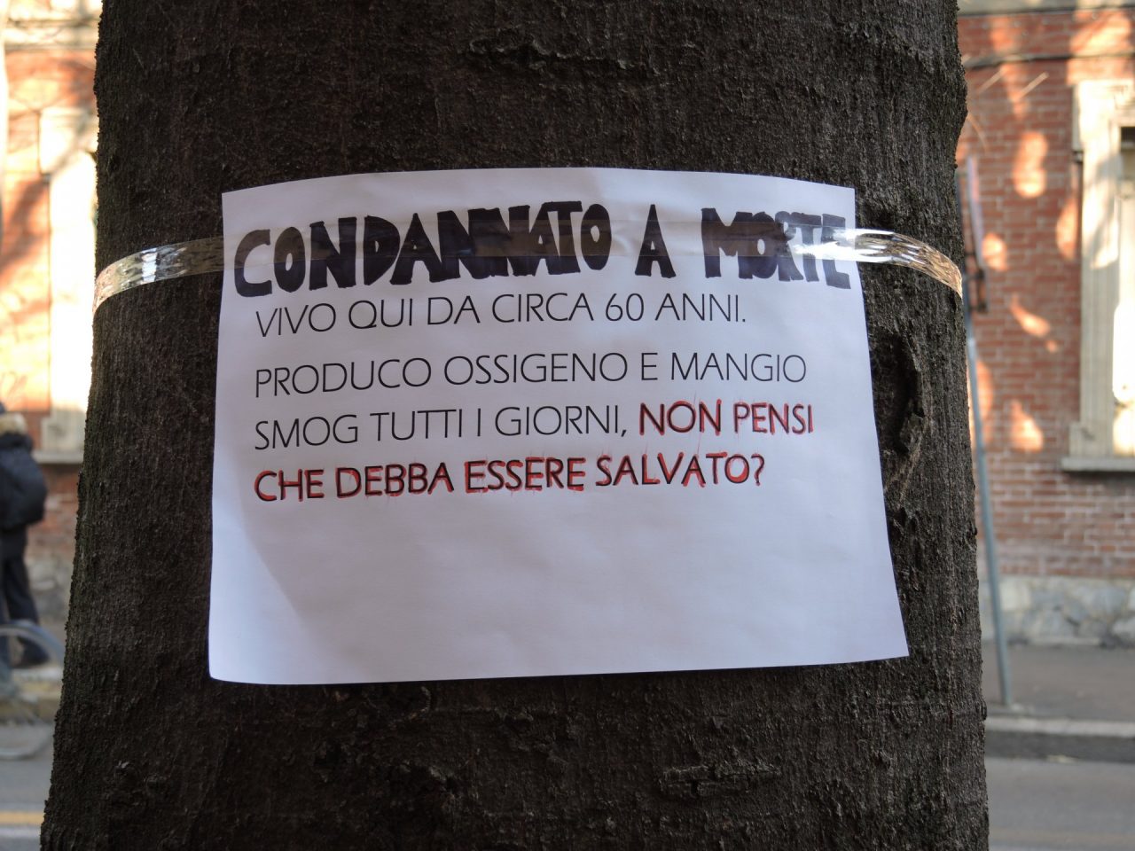 Via Roma Saronno, il caso finisce in Regione