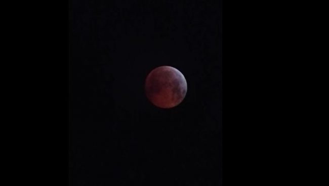 Tutti pazzi per la Luna Rossa