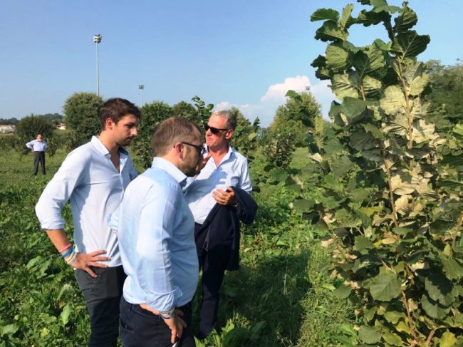 La Lombardia e la Brianza scommettono… sulle nocciole