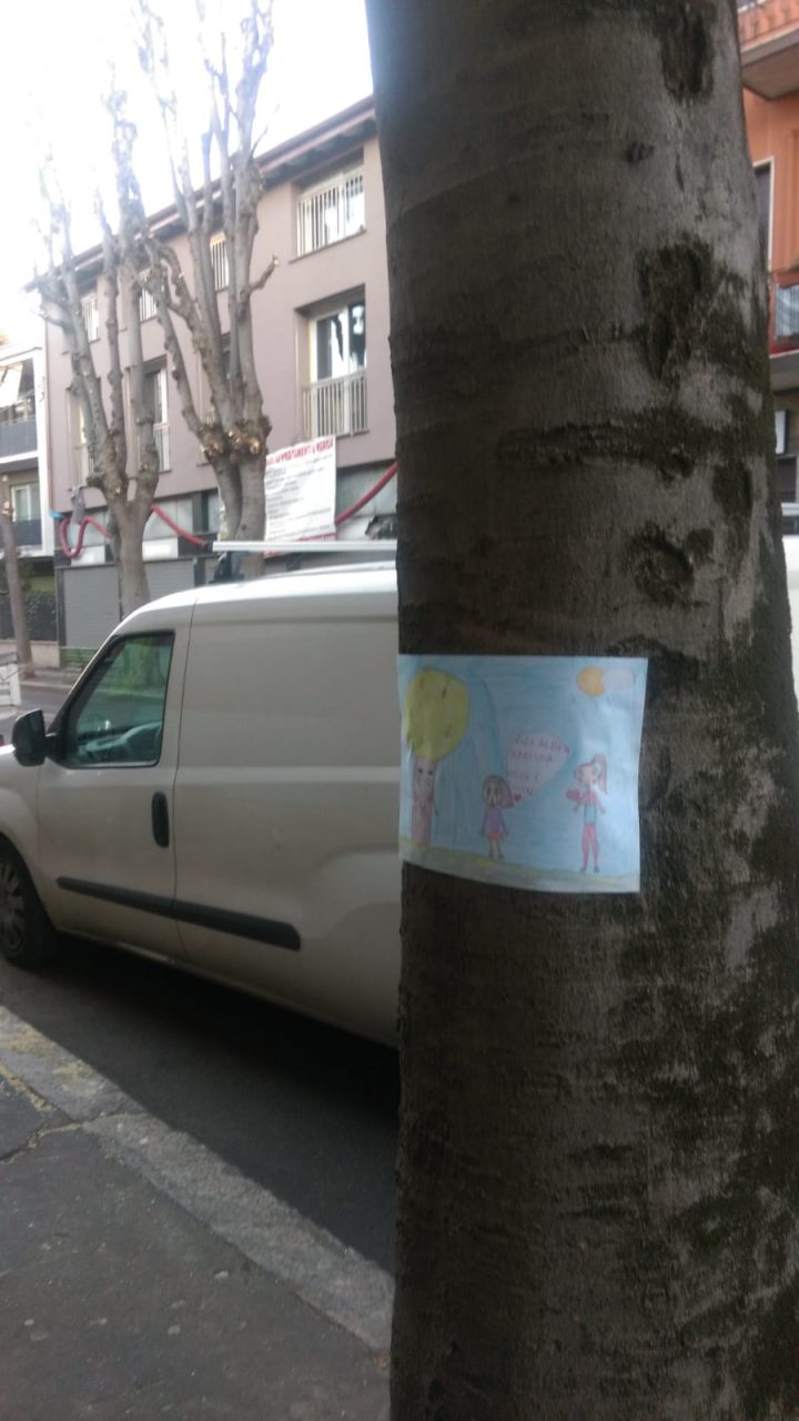alberi abbattuti saronno via roma