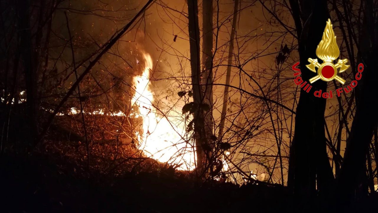 incendio boschivo