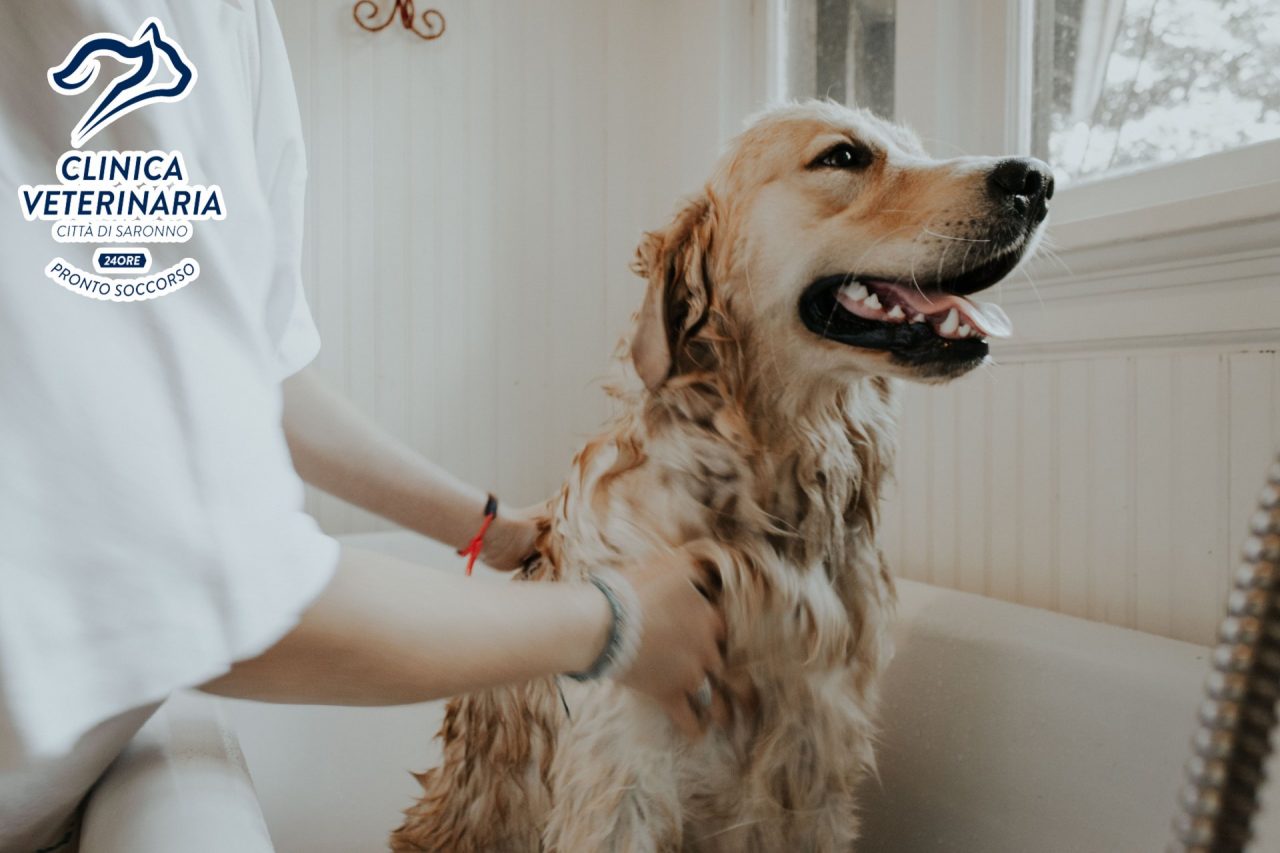 Antiparassitari per cani e gatti, è tempo di ricominciare