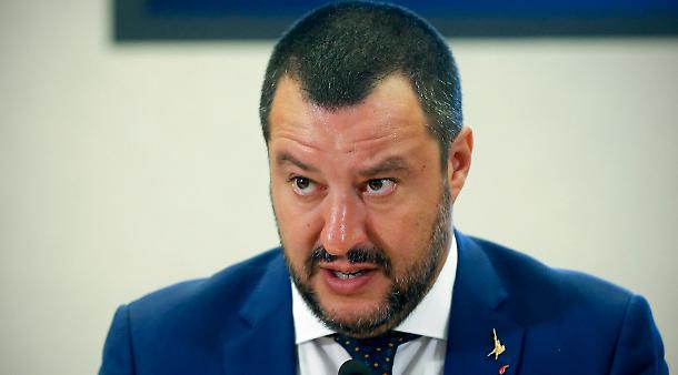 Gatta lanciata dal quinto piano, lo sdegno di Salvini
