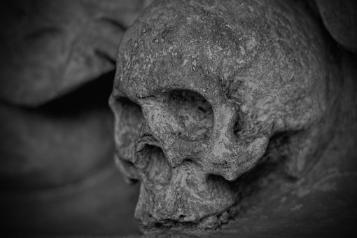 Due teschi umani in un sacchetto: macabro ritrovamento al cimitero Parco