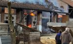 Devastante incendio in una cascina: salve le mucche VIDEO