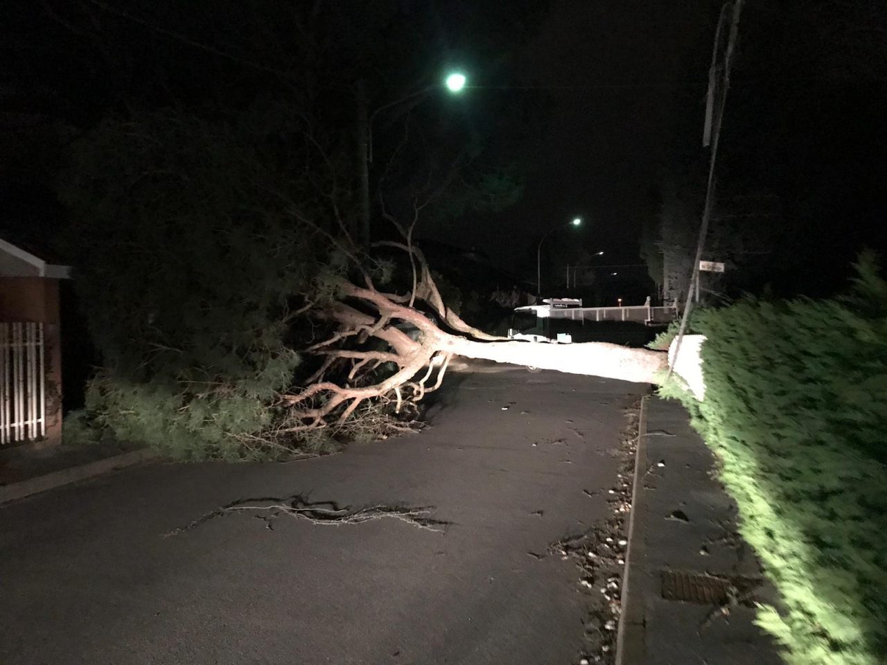 Vento sradica alberi, abbatte cartelli e strappa il tendone FOTO
