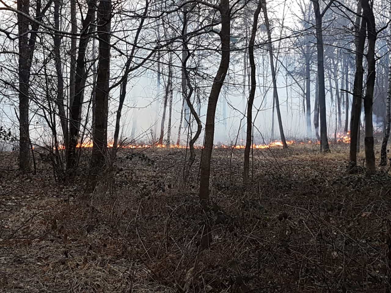 Incendio a Bolladello, Vigili del Fuoco al lavoro contro le fiamme