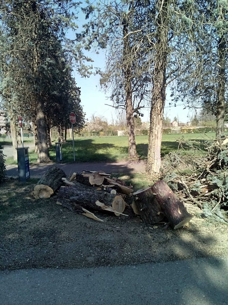 Pogliano: danni per raffiche di vento a 90 km all’ora