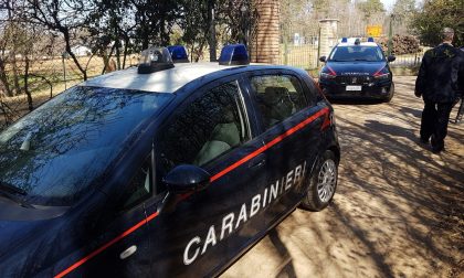 Fugge con la droga al controllo dei Carabinieri: arrestato
