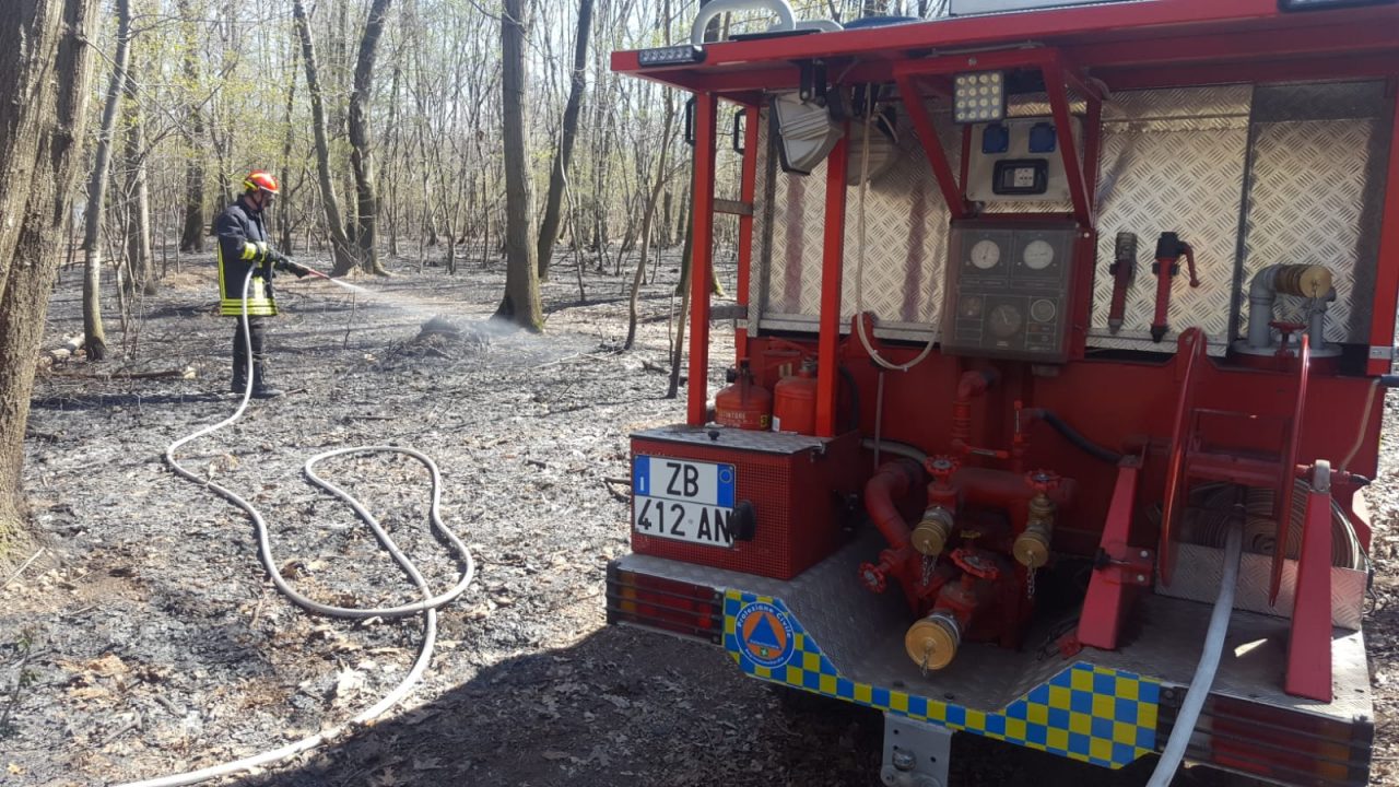 Dairago, incendio boschi della Maddalena per forte vento