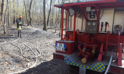 Incendio nei boschi della Maddalena - FOTO E VIDEO