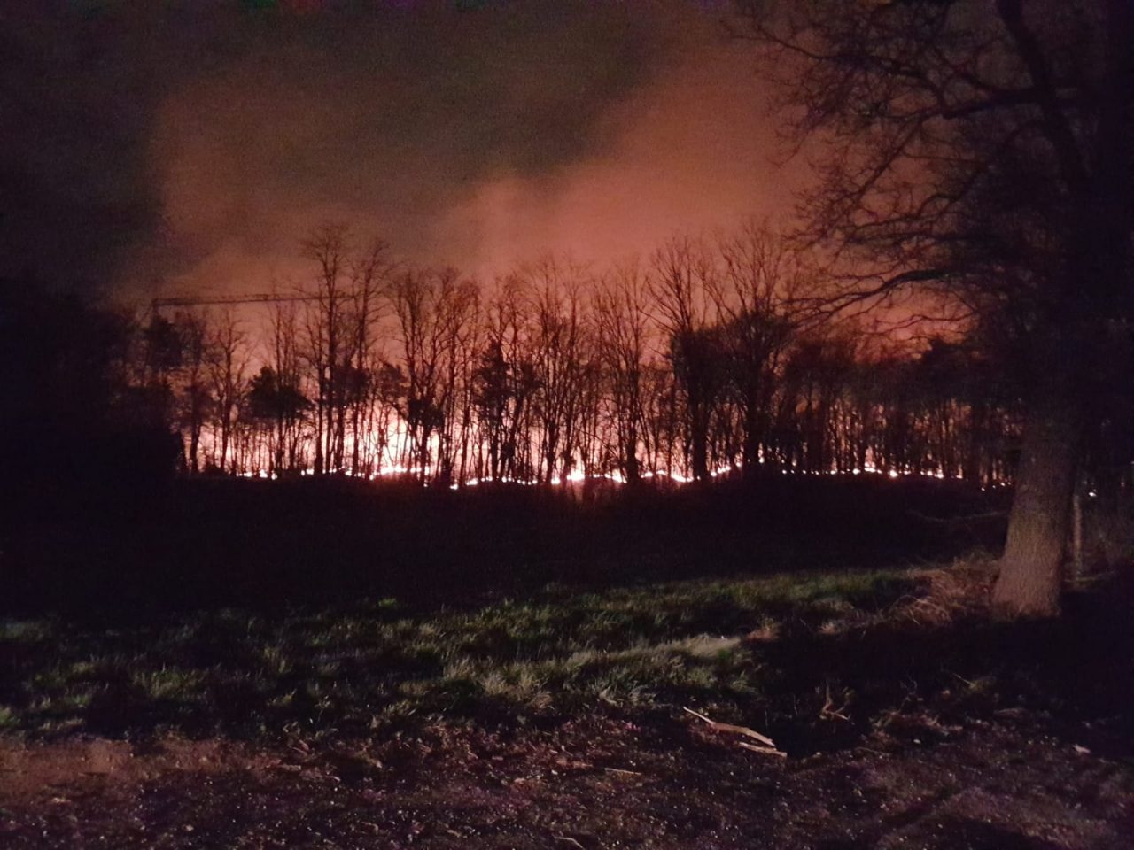 Incendi nei boschi del Tradatese: parla il Sottosegretario del Ministero dell’Interno