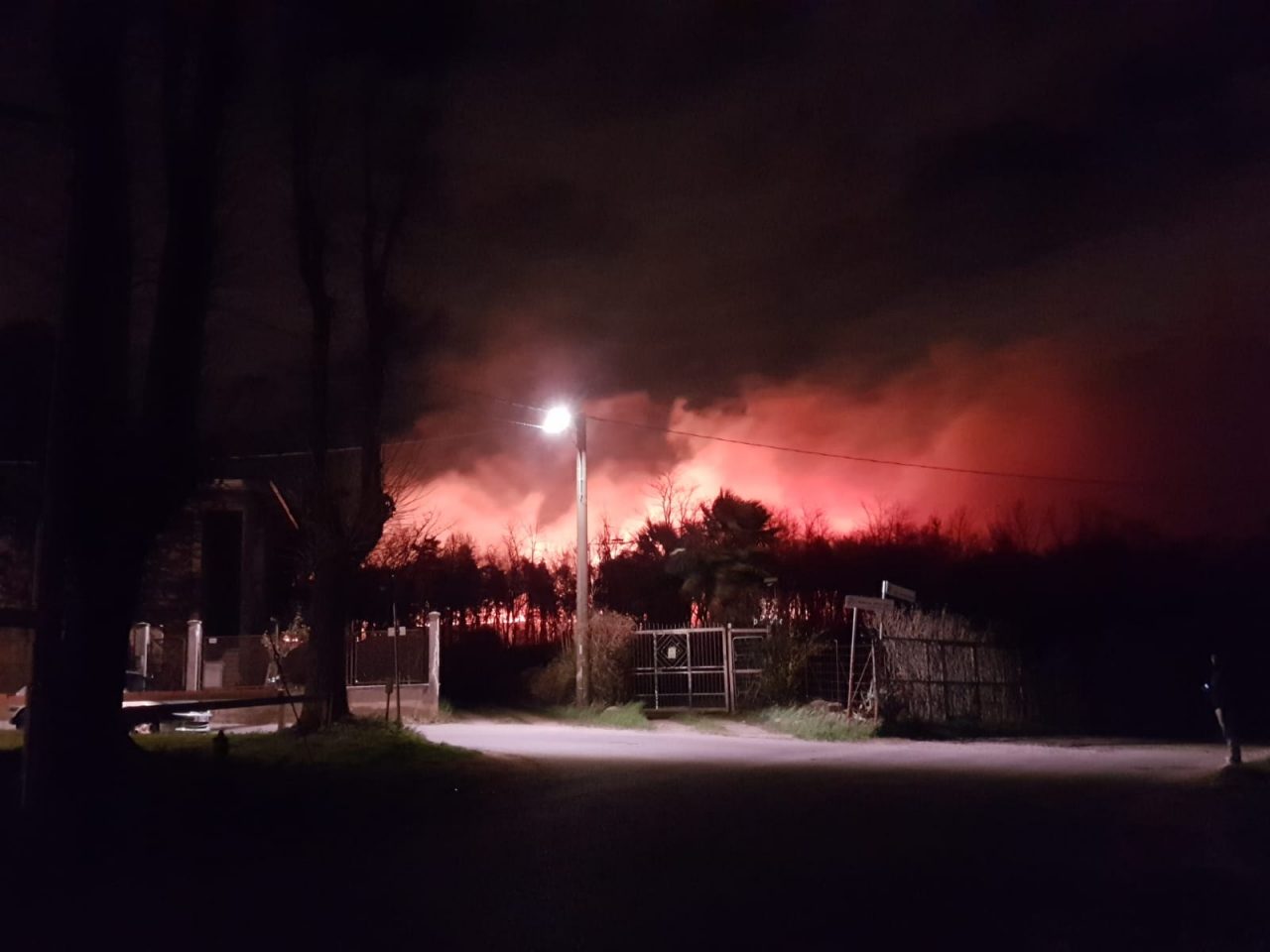 Mega  incendio ad Abbiate in fiamme il Parco Pineta