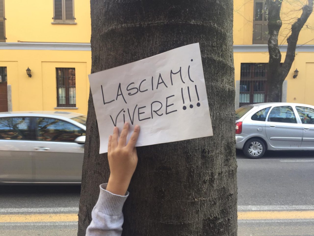 Salva Via Roma, nuova petizione a Saronno