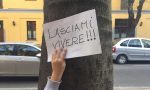 Salva Via Roma, nuova petizione a Saronno