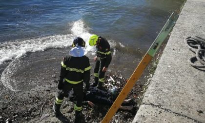 Tragedia: dalle acque del Lario riemergono due corpi senza vita