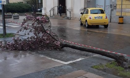 Pogliano: continuano i danni per il maltempo