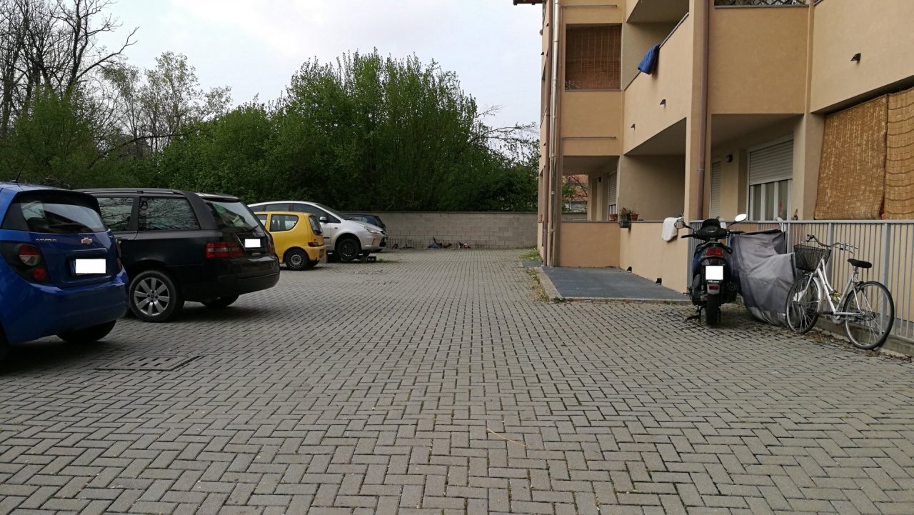 Aggrediti da un pitbull nel cortile di casa, gravi due bambini