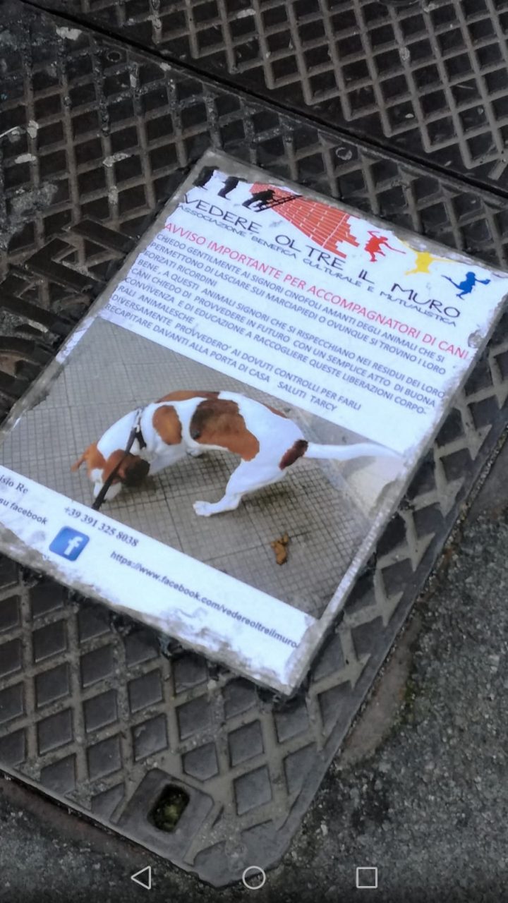 Raccogli gli escrementi del tuo cane o li porto a casa tua
