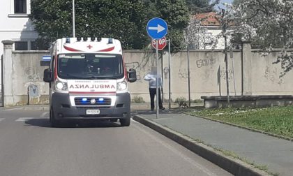 Bimbo di 2 anni aggredito da un cane, paura al parchetto