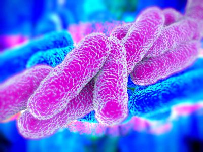 Legionella nell’acqua, chiuse le palestre del Centro Sportivo di Lodi