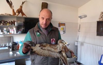 Pasquetta speciale al Wwf con la liberazione degli animali