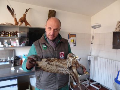 Pasquetta speciale al Wwf con la liberazione degli animali
