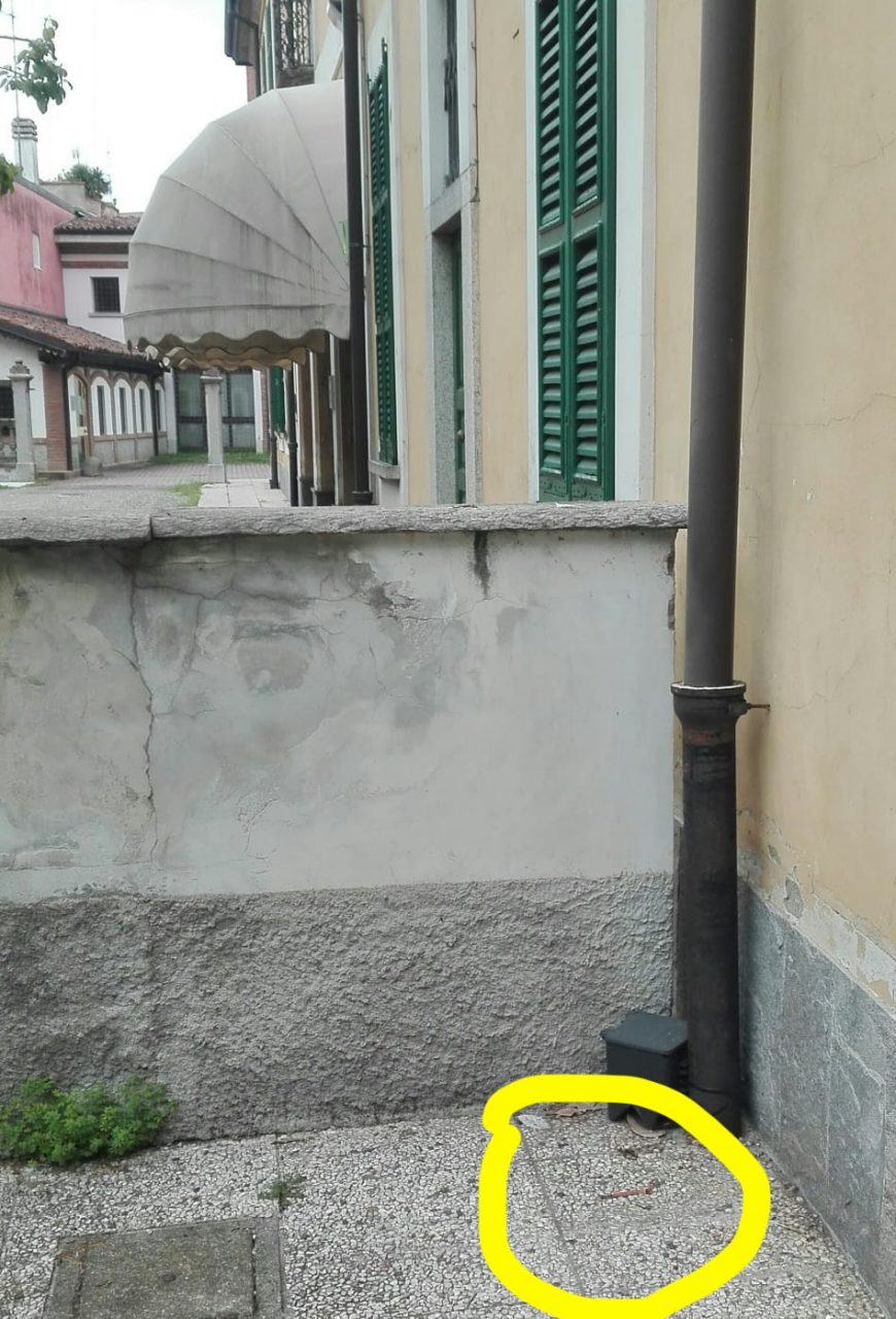 siringa nel parco Busto Garolfo