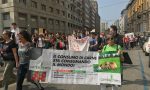 Milano Strikes for the Planet 2.0: lo sciopero globale per il clima FOTO e VIDEO