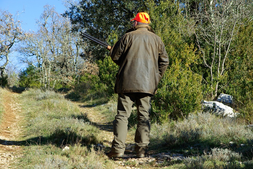 Bracconieri uccidono un capriolo nel Bosco Wwf di Vanzago