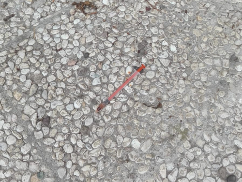 Siringa nel parco comunale di Busto Garolfo – FOTO