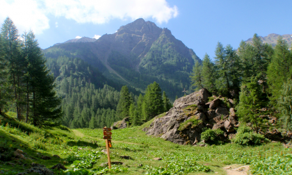 Escursioni gratuite con le guide alpine nelle bellezze naturali lombarde