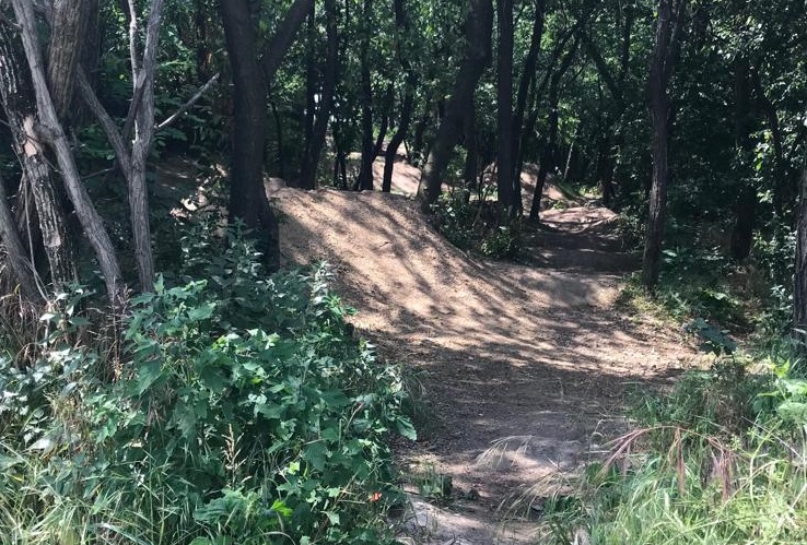 Cade in bici, paura per un bambino di 11 anni