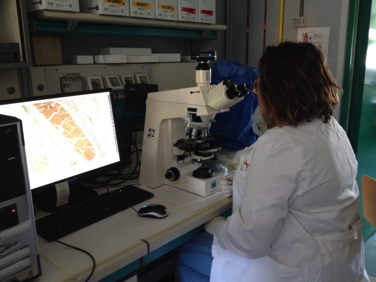 All’Insubria torna B-Life: lo stage sulle biotecnologie