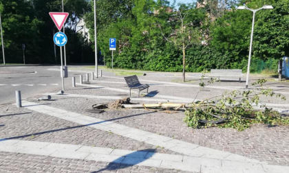 Ubriaco abbatte due paracarri e un albero in piazza a Seguro FOTO