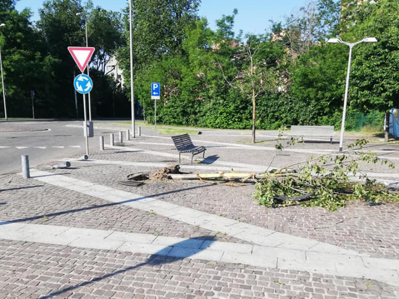 Ubriaco abbatte due paracarri e un albero in piazza a Seguro FOTO